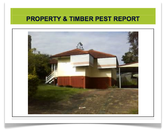 Brisbane Case Study Part 4: Why Some Contracts Fail (aka The Building and Pest Inspections)